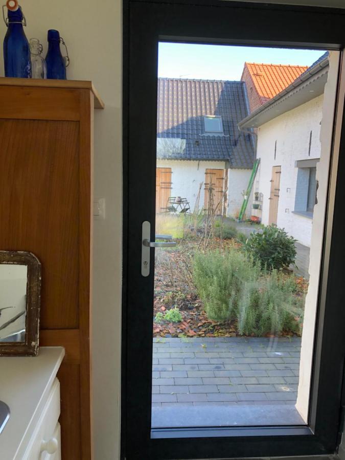 We Maison D'Hotes Cassel Exteriér fotografie