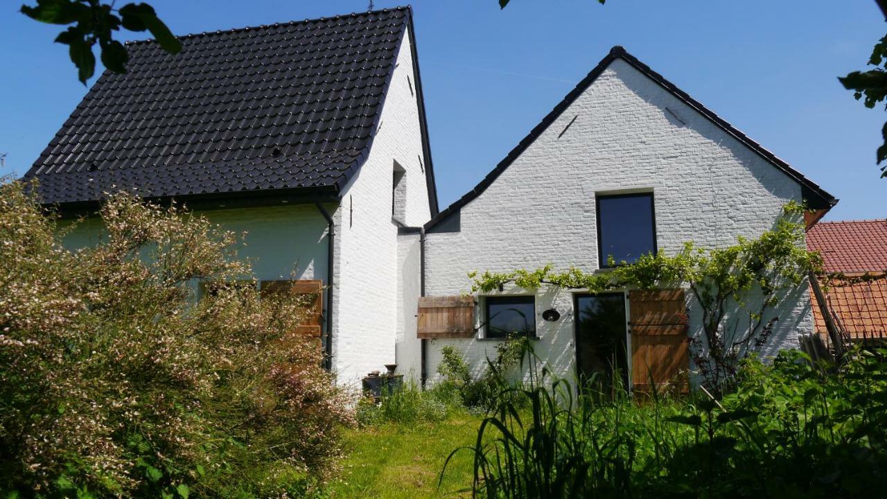 We Maison D'Hotes Cassel Exteriér fotografie