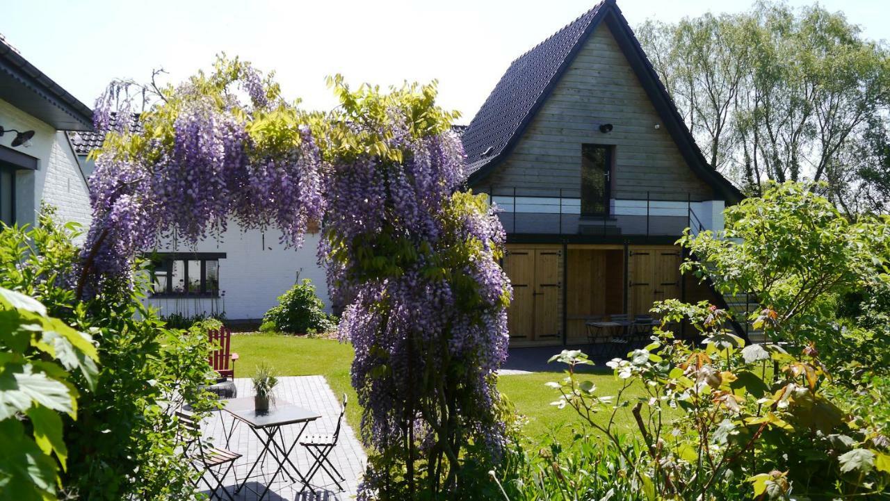 We Maison D'Hotes Cassel Exteriér fotografie
